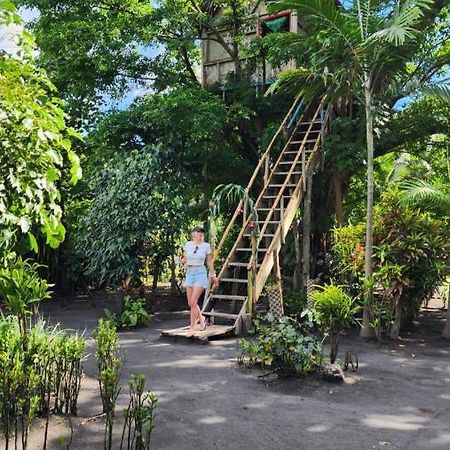Tanna Volcano View Tree House Lenkuru Extérieur photo