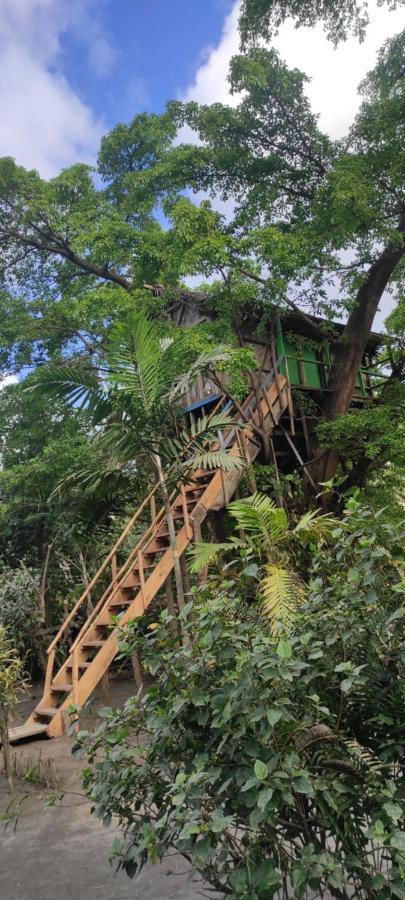 Tanna Volcano View Tree House Lenkuru Extérieur photo